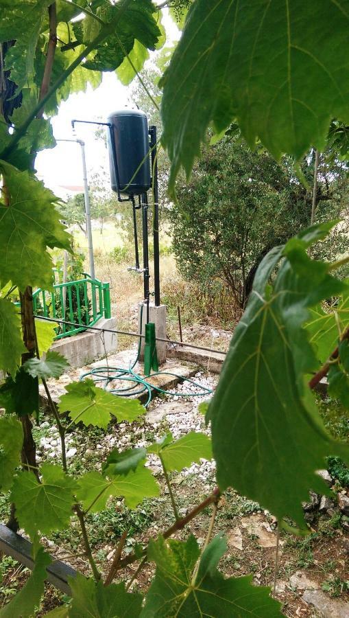 Apartments Delibasic Rogoznica  Zewnętrze zdjęcie