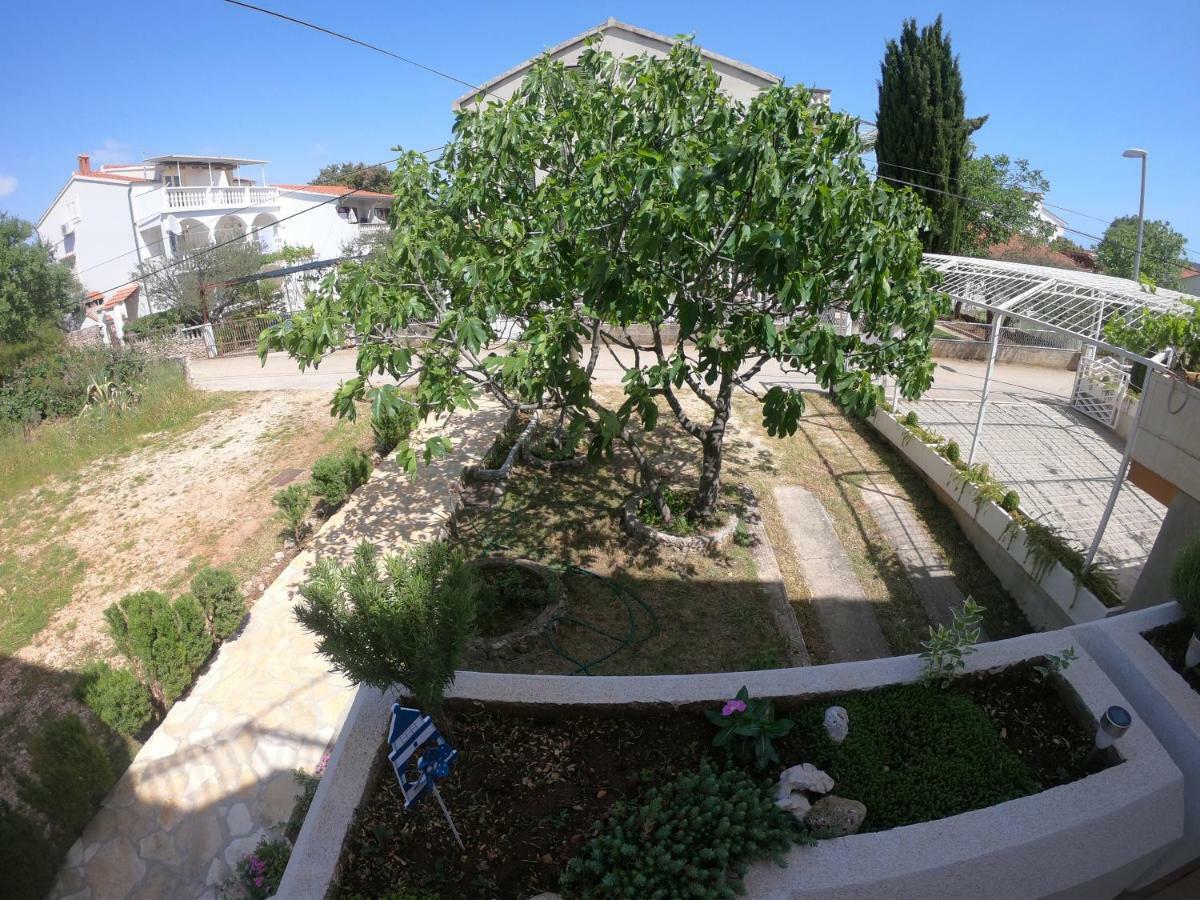 Apartments Delibasic Rogoznica  Zewnętrze zdjęcie